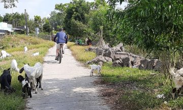VIETNAM CYCING TOURS