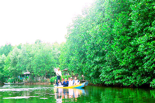 can gio mangrove forest day tour