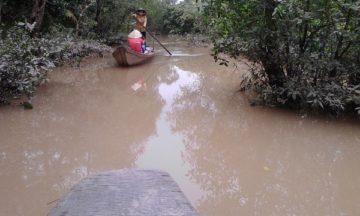 Mekong Delta Excursion from Lotus port