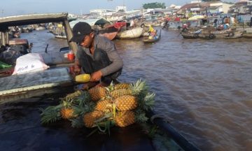Vietnam Land Holiday Packages